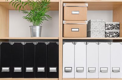 Shelves with boxes, folders and green plant