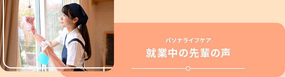 就業中の先輩の声